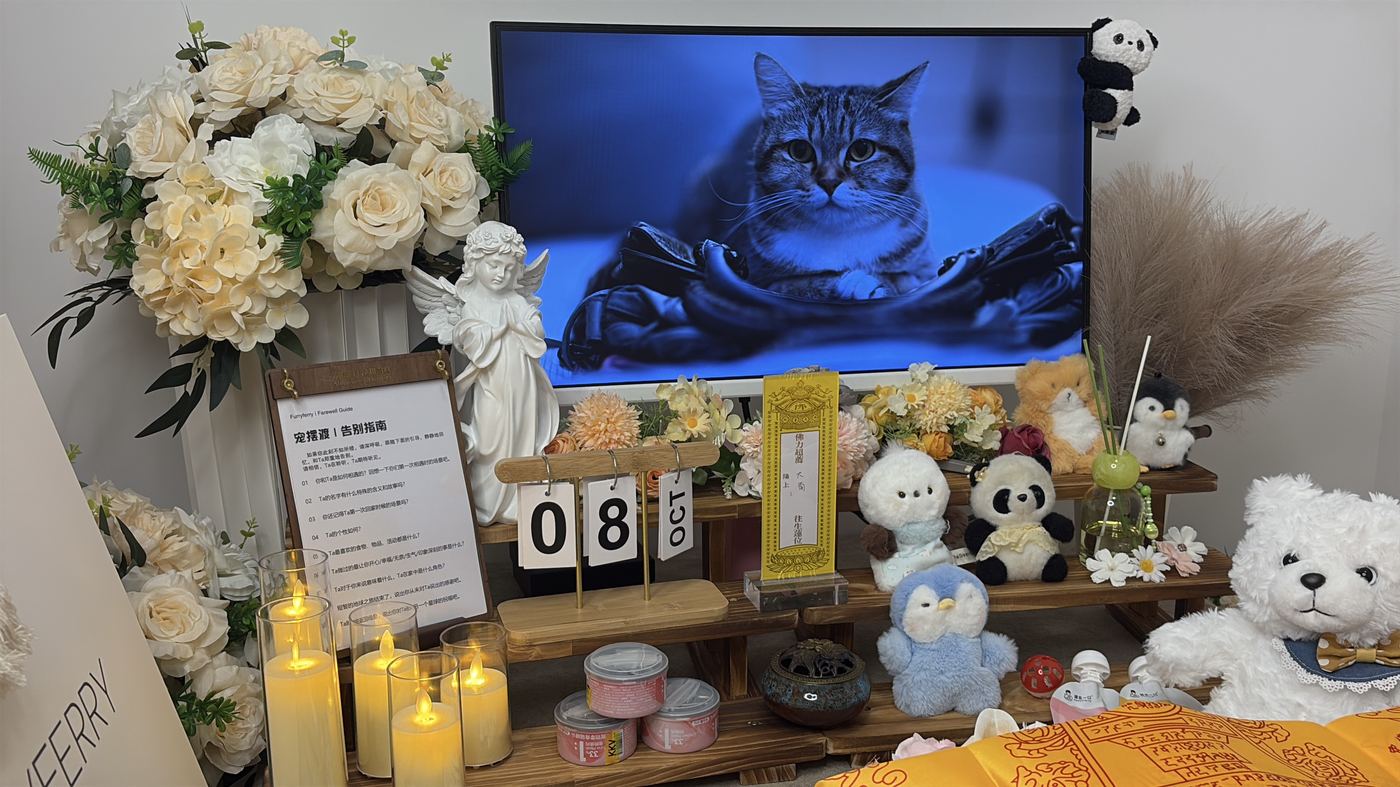 猫咪火化流程说明