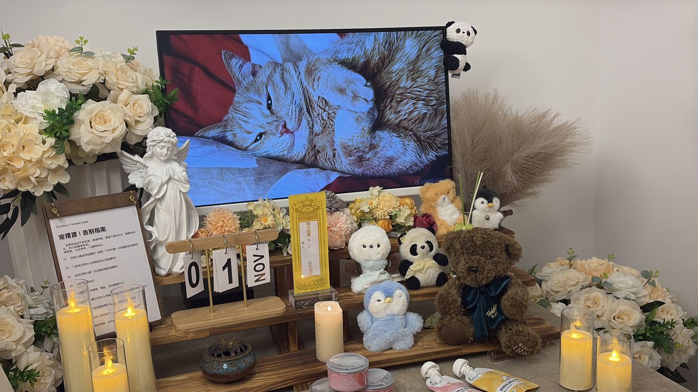 宁波宠物火化多少钱？甬城火化收费全解析
